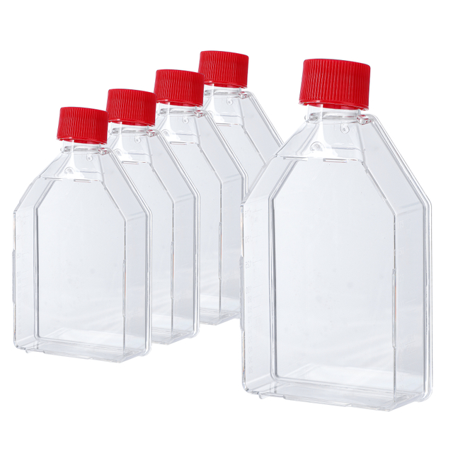 Cell Culture Flask 