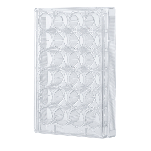 Cell Culture Plate