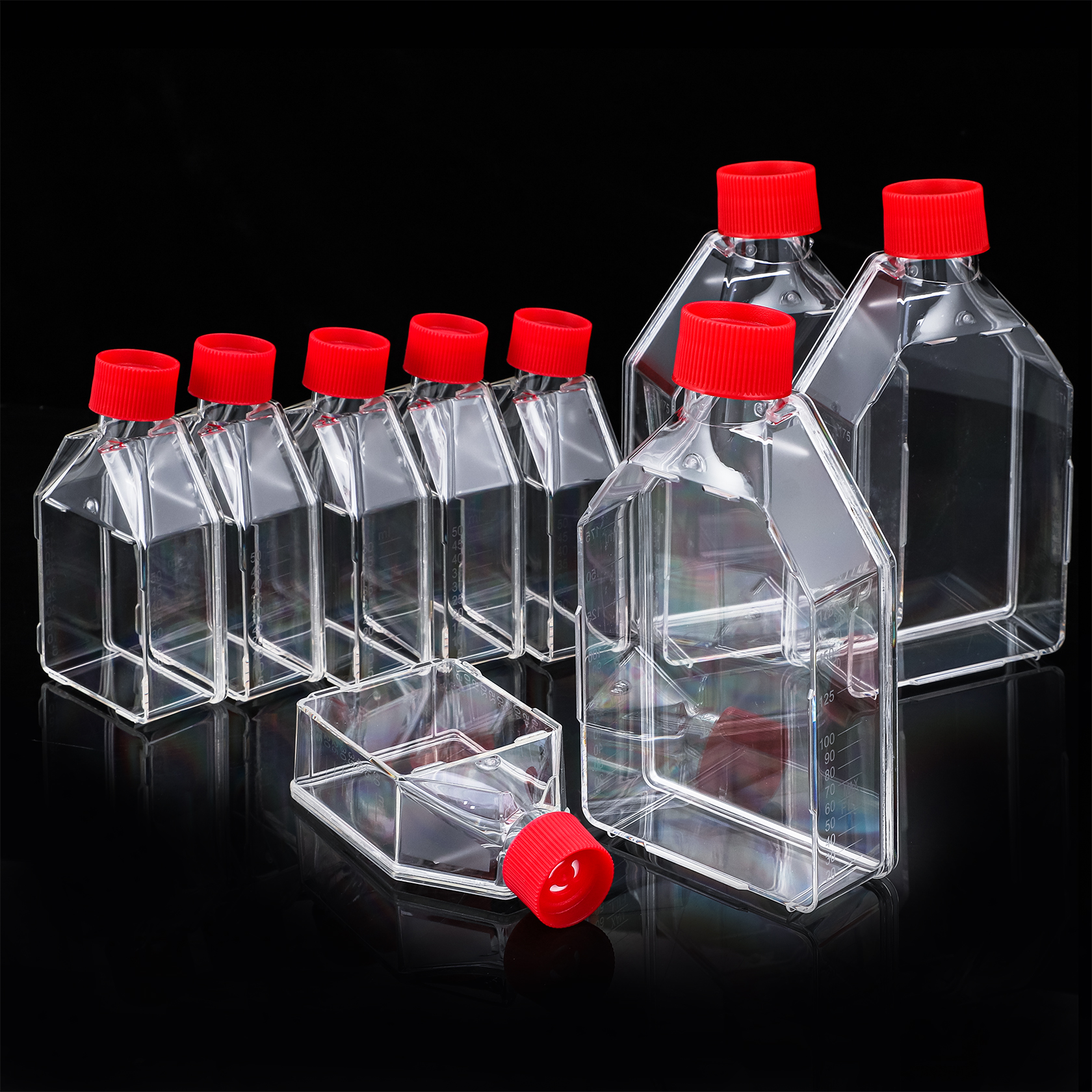 Cell Culture Flask 