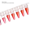 8-strip PCR Tube